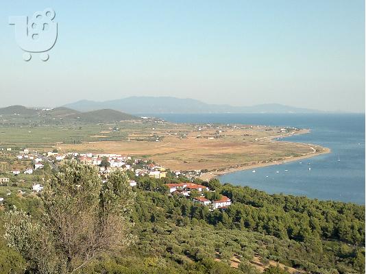 PoulaTo: Χαλκιδική Ψακούδια Ορμύλιας