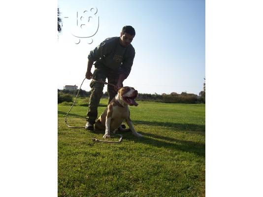 BLUE NOSE X RED NOSE CHOCOLATE KOYTABIA ΚΡΗΤΗ-ΑΘΗΝΑ