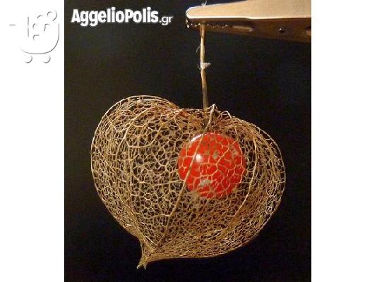 PoulaTo: Lantern Seed - Κοκκινο Groundcherry - 50 Σποροι