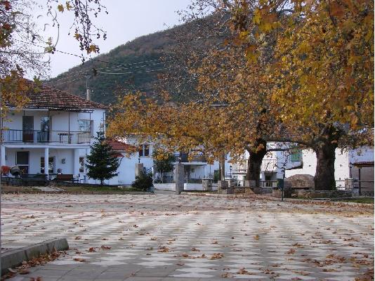 ΔΙΩΡΟΦΗ ΠΕΤΡΙΝΗ ΚΑΤΟΙΚΙΑ ΣΤΟΝ ΔΗΜΟ ΙΤΑΜΟΥ ΡΑΧΟΥΛΑ-ΚΑΡΔΙΤΣΑΣ...