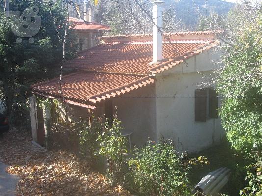 PoulaTo: ΕΞΟΧΙΚΗ ΚΑΤΟΙΚΙΑ
