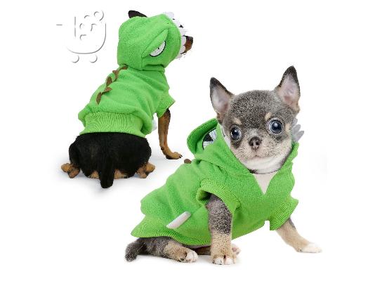 Kc Εγγεγραμμένος σκύλος Chihuahua