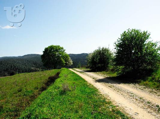 PoulaTo: ΠΩΛΗΤΑΙ ΚΤΗΜΑ 15 ΣΤΡΕΜΜΑΤΩΝ ΓΑΛΑΤΣΩΝΑ ΒΟΡΕΙΑ ΕΥΒΟΙΑ