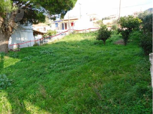 πωλειται οικοπεδο αχαια αγ.βασιλειος"πρασινο λιμανακι"πανω στο κυμα...