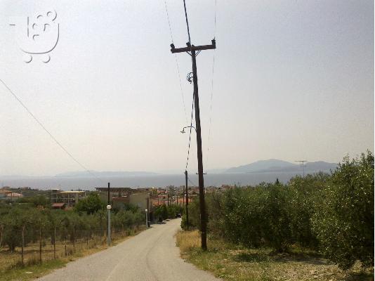 ΟΙΚΟΠΕΔΟ 725 m2 Νεα Αγχίαλο (περιοχή Στούπι)