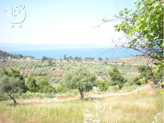 ΑΓΡΟΤΕΜΑΧΙΟ 2 ΣΤΡΕΜ, ΜΕ ΘΕΑ ΣΤΗ ΘΑΛΑΣΣΑ, ΑΓΙΟΣ ΝΙΚΟΛΑΟΣ...