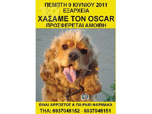 PoulaTo: ΧΑΣΑΜΕ ΤΟΝ ΟSCAR