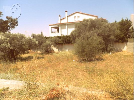 PoulaTo: ΚΗΦΙΣΙΑ-ΟΙΚΟΠΕΔΟ ΓΩΝΙΑΚΟ, ΠΡΟΣΟΨΕΩΣ, 470τ.μ., ΕΝΤΟΣ ΣΧΕΔΙΟΥ ΠΟΛΕΩΣ ΠΩΛΕΙΤΑΙ