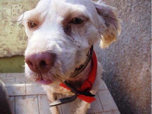 PoulaTo: 2 ΚΑΝΙΣΑΚΙΑ Κ 1 ΣΕΤΤΕΡΑΚΙ ΧΑΡΙΖΟΝΤΑΙ