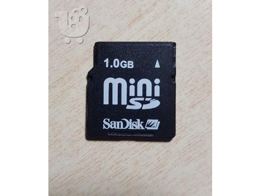 PoulaTo: MiniSD Card SanDisk 1GB SDSDM-1024