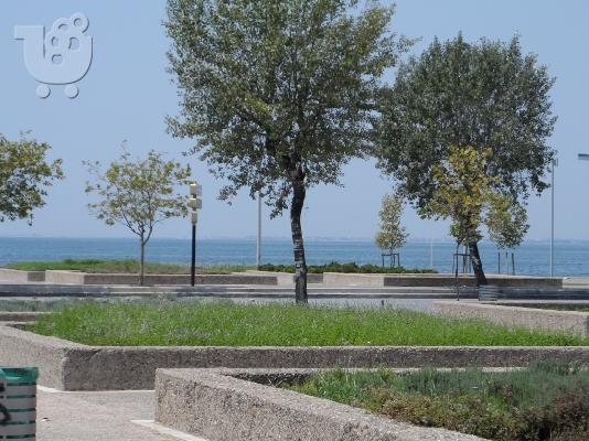 Επαγγελματική Στέγη στην Νέα Παραλία