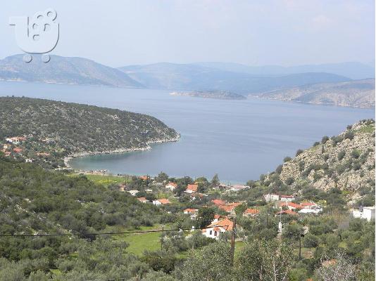 ΑΛΥΚΗ ΔΗΜΟΣ ΘΙΣΒΗΣ ΒΟΙΩΤΙΑ