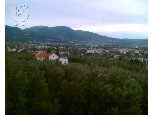 PoulaTo: MONOKATOIKIA