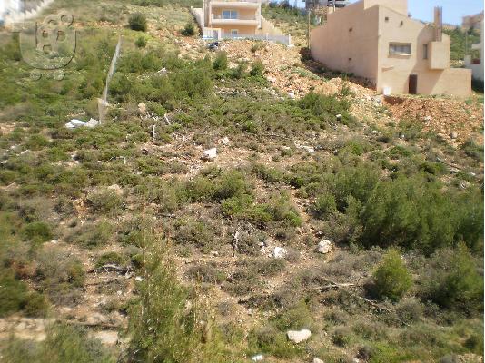 PoulaTo: Πικέρμι, Άγιος Σπυρίδωνας, οικόπεδο, 80.000€