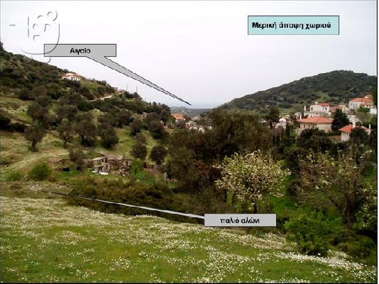 4.750ΤΜ ΕΝΤΟΣ ΟΙΚΙΣΜΟΥ ΠΕΤΡΙΕΣ ΕΥΒΟΙΑΣ -ΜΕΓΑΛΗ ΕΥΚΑΙΡΙΑ...