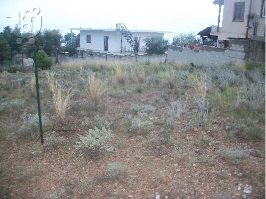 PoulaTo: Άγιοι Θεόδωροι Κορινθίας πωλούνται οικόπεδα