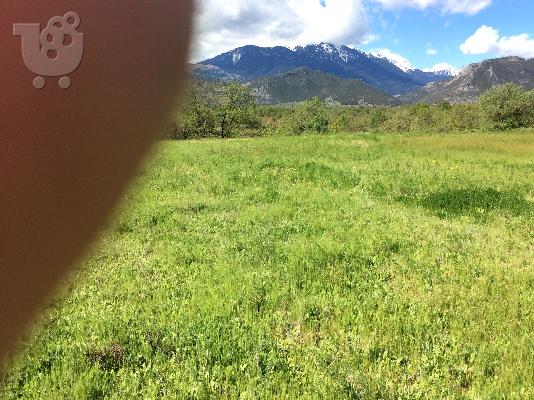 ΠΩΛΕΙΤΑΙ ΑΓΡΟΤΕΜΑΧΙΟ 1,5 ΣΤΡΕΜΑΤΑ