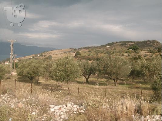 ΒΙΟΜΗΧΑΝΙΚΗ ΕΚΤΑΣΗ ΠΑΤΡΑ ΡΙΟΝ-ΑΧΑΪΑΣ KFKMGM7560R1