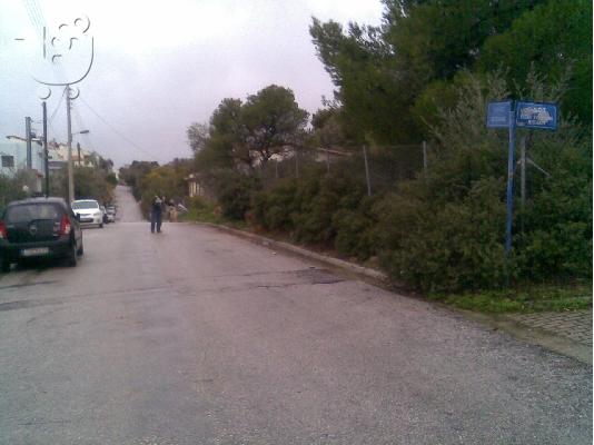 Αγροτεμάχιο στα Γλυκά Νερά