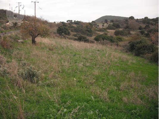 PoulaTo: Πώληση οικόπεδο Μεσσηνία Κυπαρισσία χωριό Βανάδα