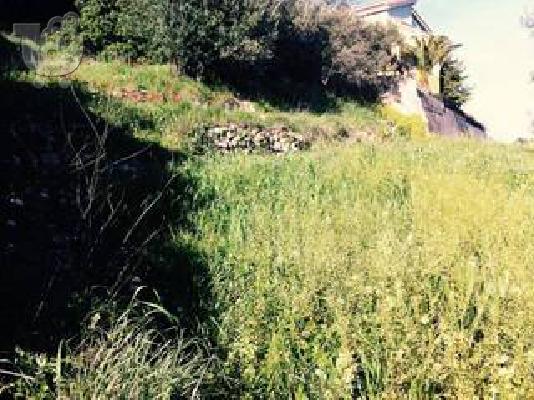 ΠΩΛΕΙΤΑΙ ΟΙΚΟΠΕΔΟ ΘΟΛΟΠΟΤΑΜΙ