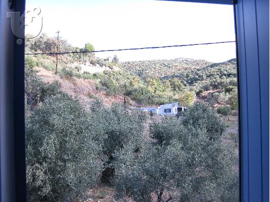 ΠΩΛΕΙΤΑΙ ΜΕΖΟΝΕΤΑ ΠΗΛΙΟ ΑΦΗΣΣΟΣ