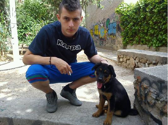 PoulaTo: ΠΩΛΕΙΤΑΙ ROTTWEILER