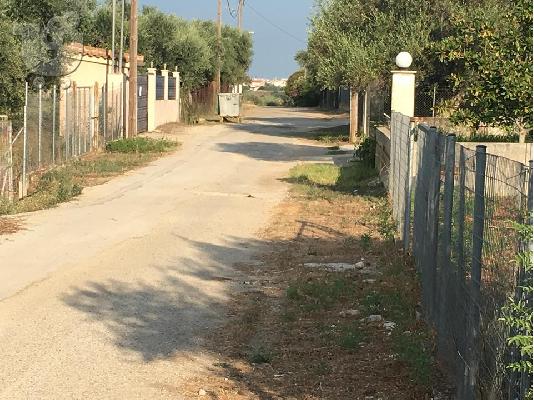 Πώληση οικοπέδου στον Κάτω Αλισσό Αχαίας