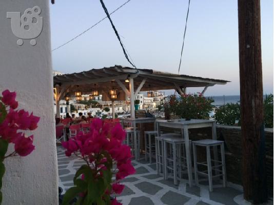cafe-creperie