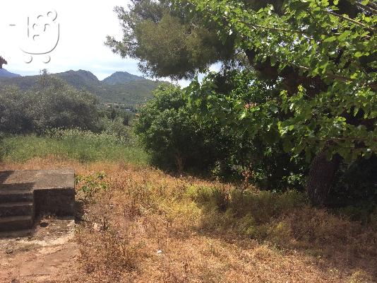 Οικόπεδο με θέα (ευκαιρία)