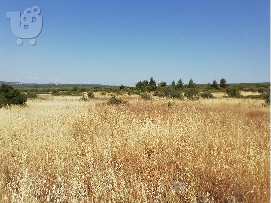 ΠΩΛΕΙΤΑΙ ΑΓΡΟΤΕΜΑΧΙΟ 3 ΣΤΡΕΜΑΤΑ
