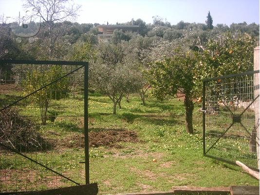 ΠΩΛΕΙΤΑΙ οικόπεδο δύο κάθετες
