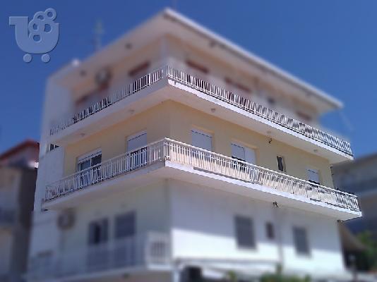 PoulaTo: Μοναδική ευκαιρία για σπίτι στην Νίκαια μόνο 28.000ευρώ μετρητά!!!