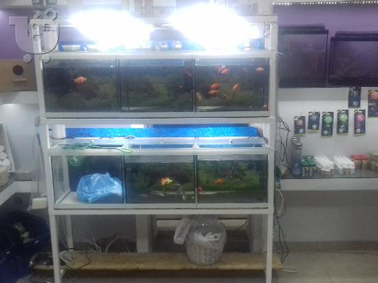 Πωλειται Pet Shop