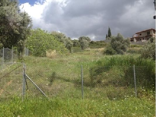 PoulaTo: Οικόπεδο 480τ.μ.