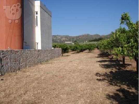 ΣΕ ΝΕΑ ΤΙΜΗ ΠΡΑΓΜΑΤΙΚΗ ΕΥΚΑΙΡΙΑ