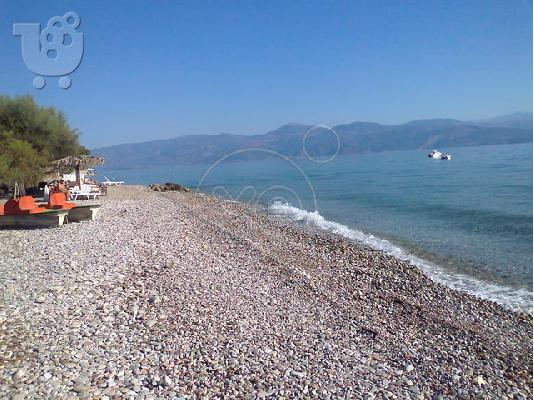 ΠΩΛΕΙΤΑΙ ΟΙΚΟΠΕΔΟ ΣΤΗΝ ΤΕΜΕΝΗ ΑΙΓΙΟΥ