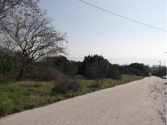 πωληση αγροτεμαχιου