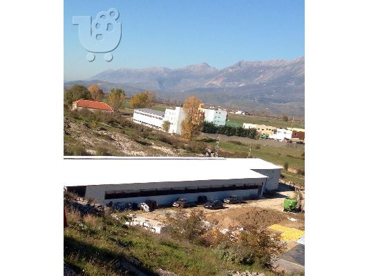PoulaTo: Β.Ήπειρος - Αργυρόκαστρο Κτηνοτροφική Μονάδα