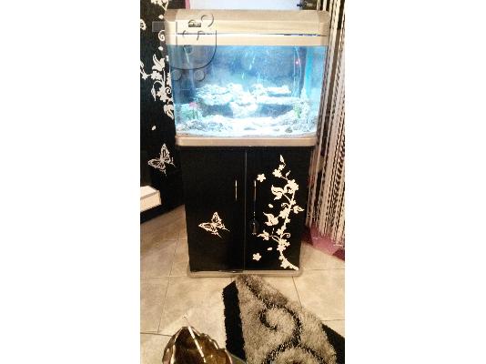 Ενυδρείο 80L με το έπιπλο