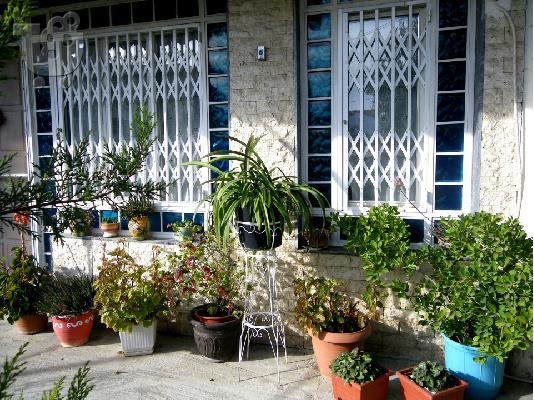 ΠΤΥΣΣΟΜΕΝΑ ΚΑΓΚΕΛΑ ΑΣΦΑΛΕΙΑΣ ΜΕΓΑΛΗ ΠΡΟΣΦΟΡΑ