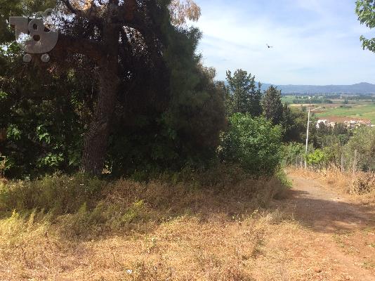 Οικόπεδο με θέα (ευκαιρία)