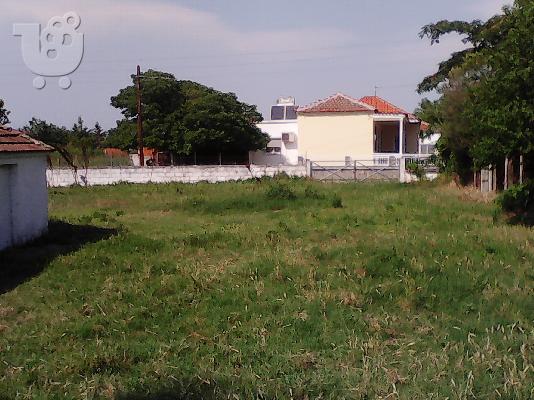 ΟΙΚΟΠΕΔΟ 750 ΤΜ ΚΤΙΣΜΑ 130 ΤΜ