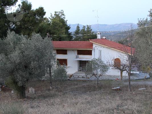 PoulaTo: ΜΟΝΟΚΑΤΟΙΚΙΑ ΣΤΟΝ ΘΕΟΛΟΓΟ ΕΥΒΟΙΑΣ