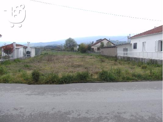 PoulaTo: ΙΣΤΙΑΙΑ ΟΙΚΟΠΕΔΟ 