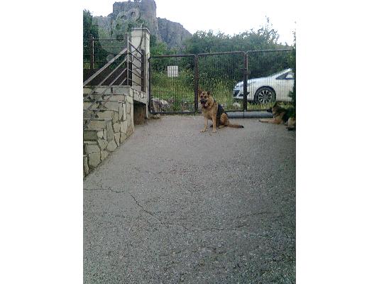 PoulaTo: KAΘΑΡΟΑΙΜΑ ΚΟΥΤΑΒΙΑ ΛΥΚΟΣΚΥΛΑ