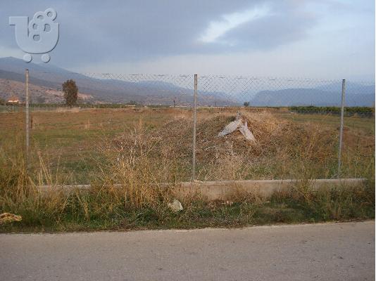 Παραθαλασσιο αγροτεμαχιο 25 στρεμ.
