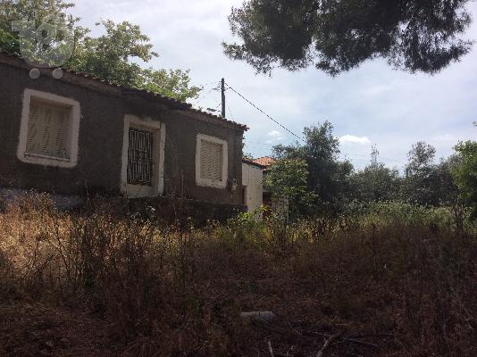 Οικόπεδο με θέα (ευκαιρία)