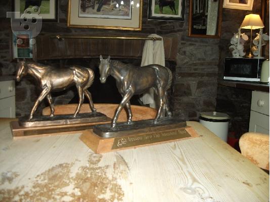 PoulaTo: Appaloosa Horses for Adoption