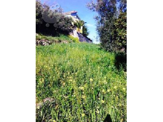 PoulaTo: ΠΩΛΕΙΤΑΙ ΟΙΚΟΠΕΔΟ ΘΟΛΟΠΟΤΑΜΙ